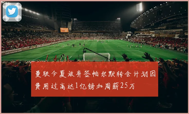 曼联今夏放弃签帕尔默转会计划因费用过高达1亿镑加周薪25万